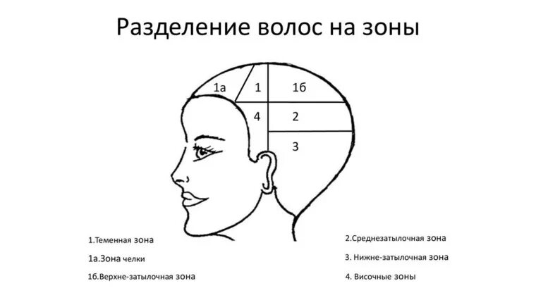 Волосы теменной объем