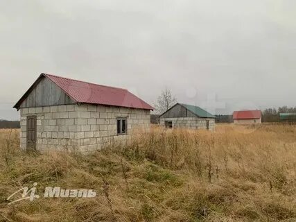 Куркино шаховская