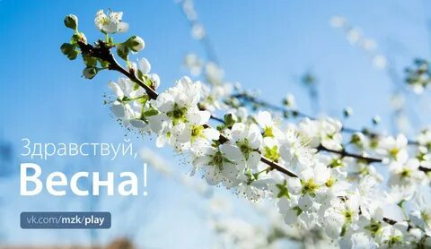 Весеннее здравствуйте