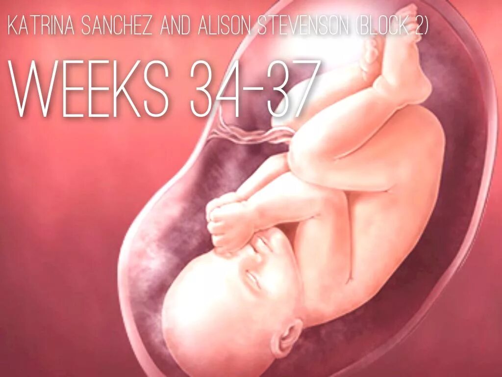37 недель беременности что происходит с мамой. Малыш в утробе матери.