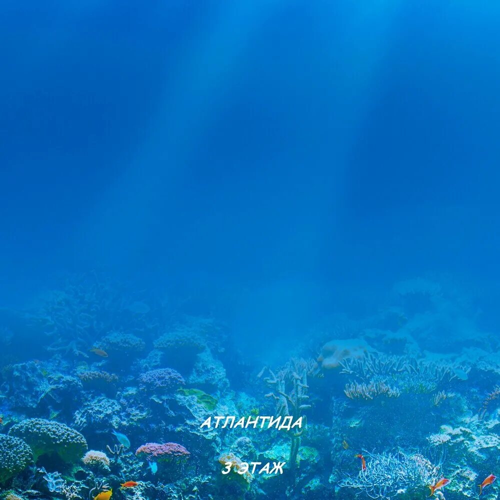 One of the largest ecosystems on Earth lives beneath the seafloor and eats radia