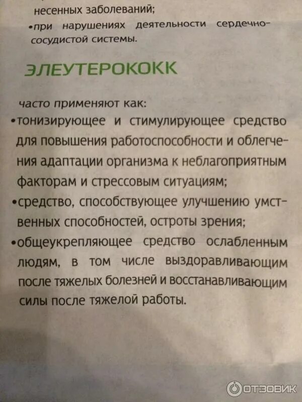 Женьшень элеутерококк таблетки. Женьшень плюс элеутерококк таблетки. Женьшень + элеутерококк таблетки Биотерра. Таблетки в капсулах женьшень элеутерококк.