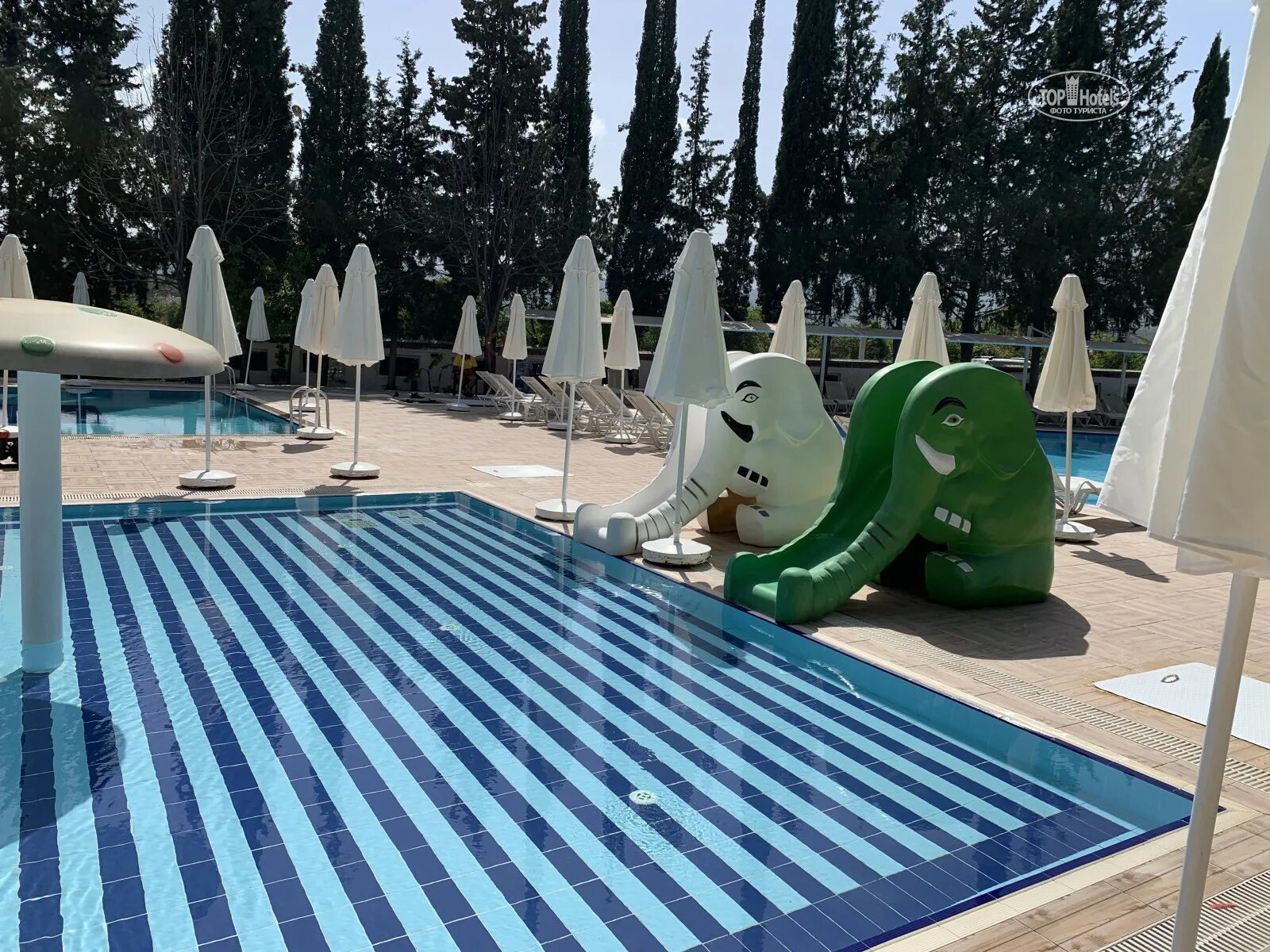 Fun sun бывший. Fun sun sapphire кемер. fun sun family club saphire 5 турция. туи сапфир кемер. fun&amp;sun family club saphire 5* текирова, кемер, 50 м до моря.