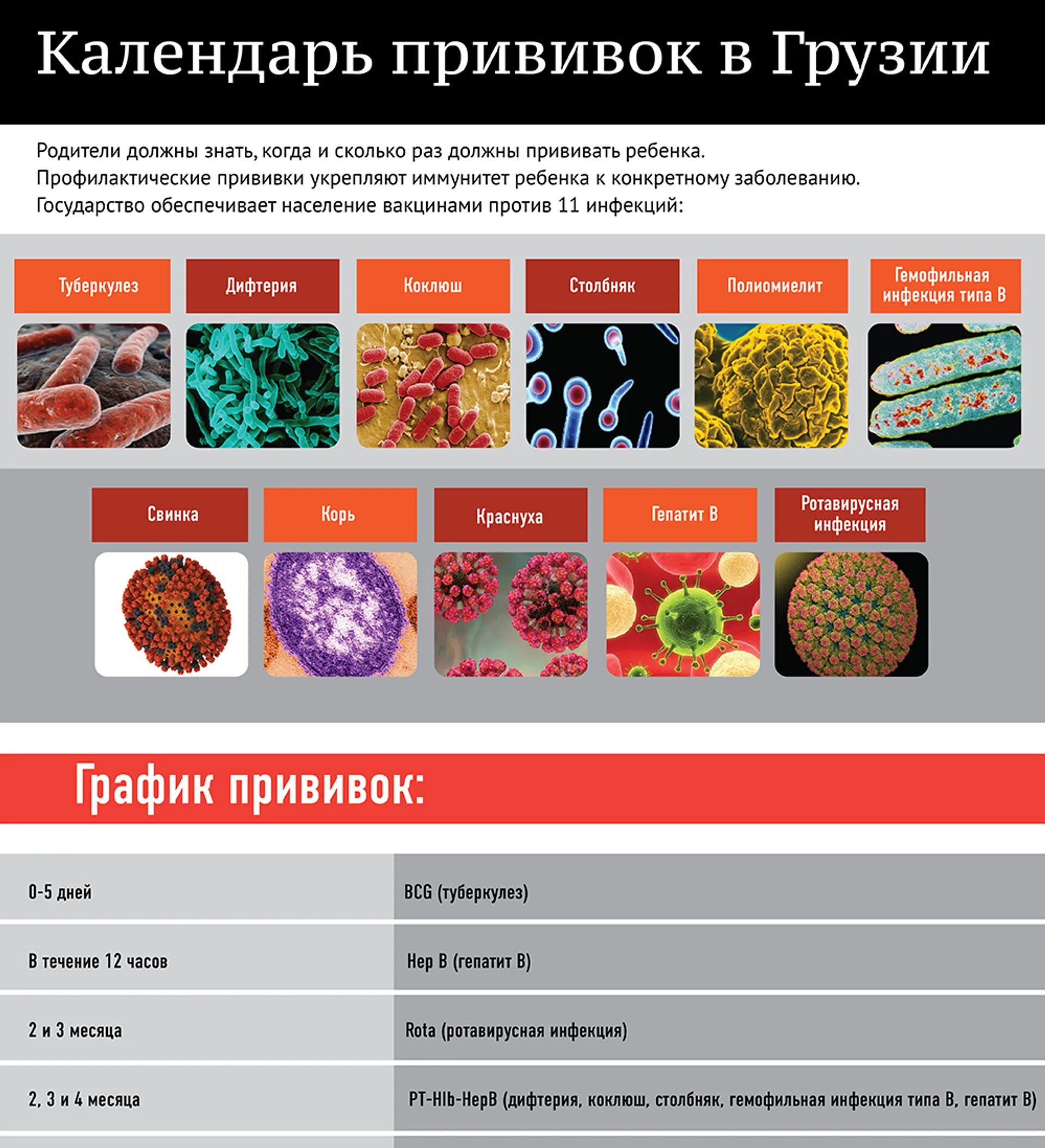 Расписание грузия. Календарь прививок в Грузии. Календарь прививок для детей в Грузии. Календарь вакцинации Грузии. Прививочный календарь прививок в Грузии.