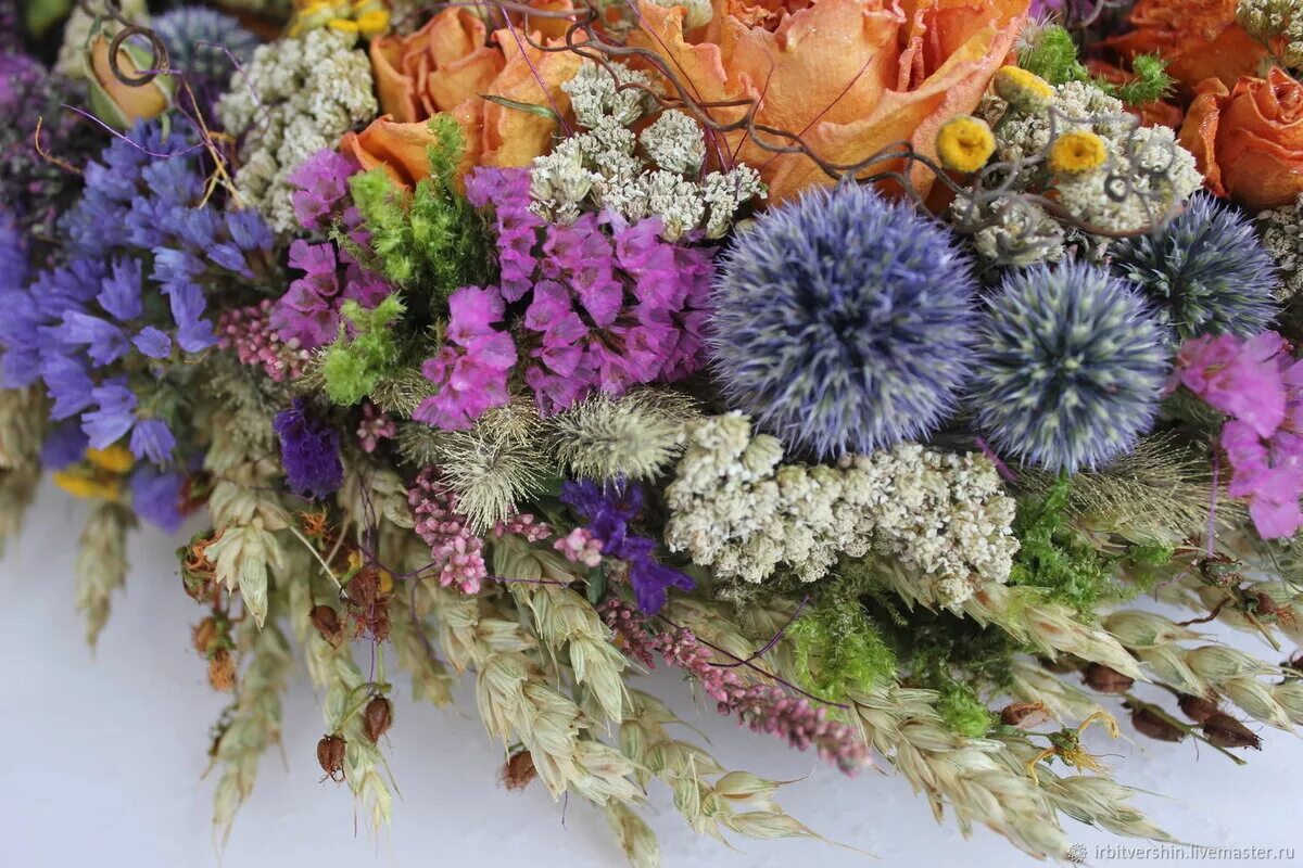 сухоцветы какие бывают. сухоцветы урала. амареллино сухоцвет. гомфрена шаровидная сухоцвет. сухоцветы какие бывают.