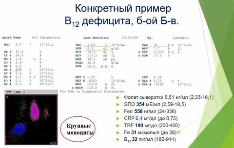 В12 понижен