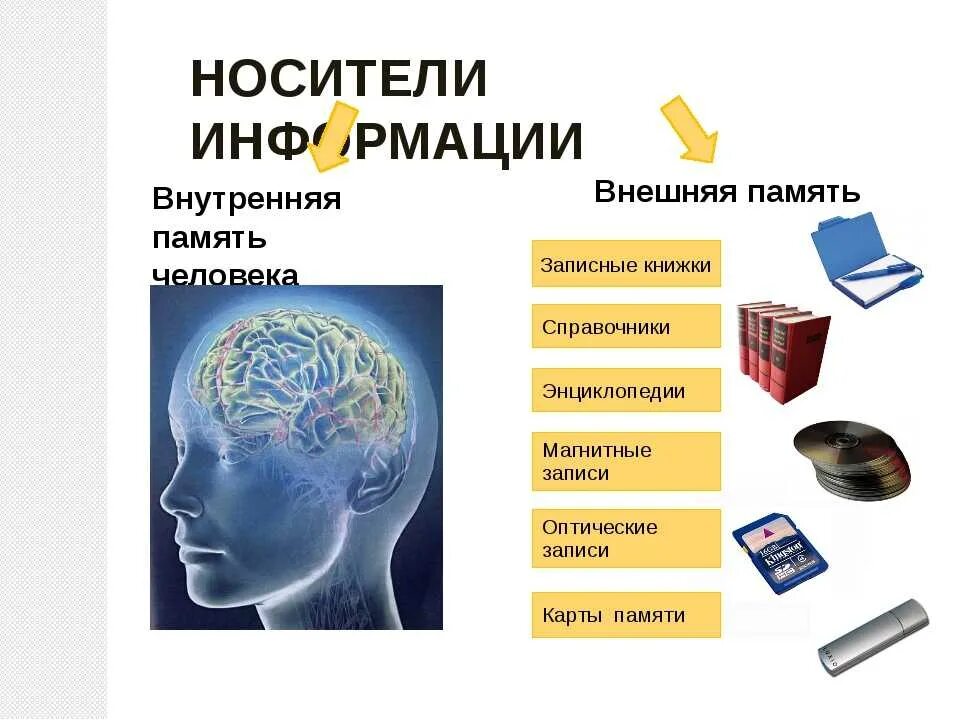 Хранение значений в памяти. Память человека и память человечества. Человек носитель информации. Хранение информации в памяти человека. Память человечества память человека носитель информации.