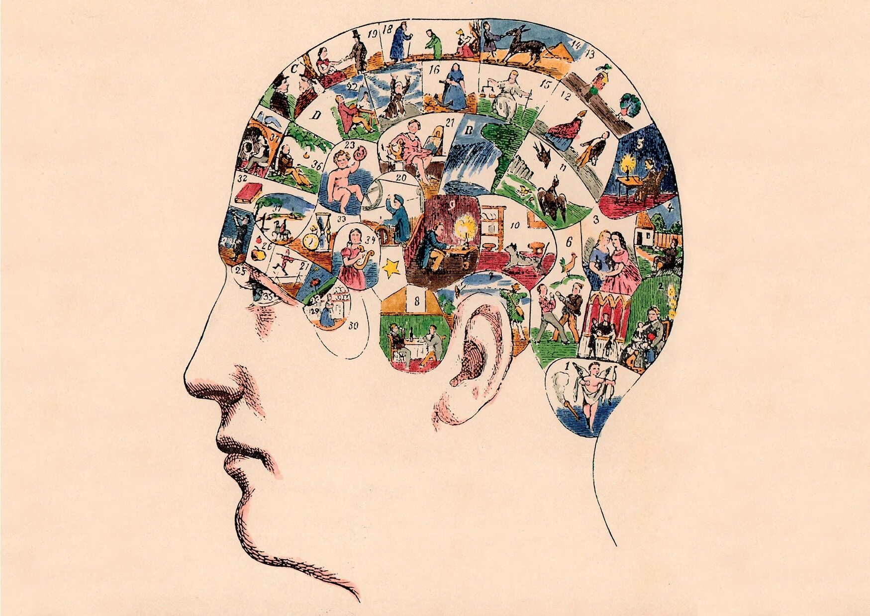 Мысли в голове. Психомагия. Психология картины. Мышление человека. Психология.