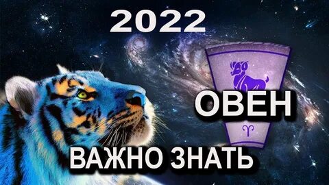 Гороскоп рыба тигр на 2024 год