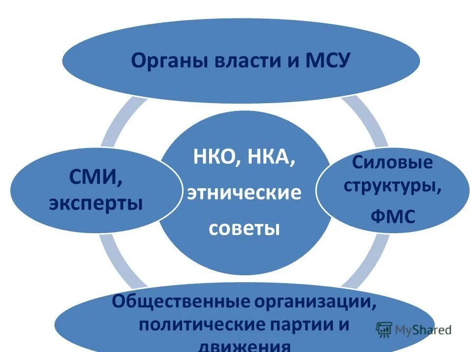 Орган местного самоуправления некоммерческая организация