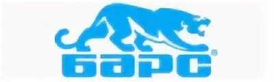 Хоккейная команда ак барс значок. Горный барс ирбис. Камская барс. Ак барс лого. Наклейка ак барс.