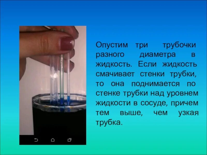 Капиллярный эффект опыт. Капиллярные явления в жидкости. Опыт с трубкой и водой. Капиллярность воды опыт. Опустить воду геншин