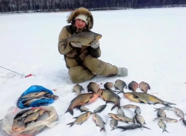 Рыбалка на Березине. Рыбалка Северодвинск. Ильичевка Ревда рыбалка. Рыбалка в контакте. Группа рыбалка вконтакте