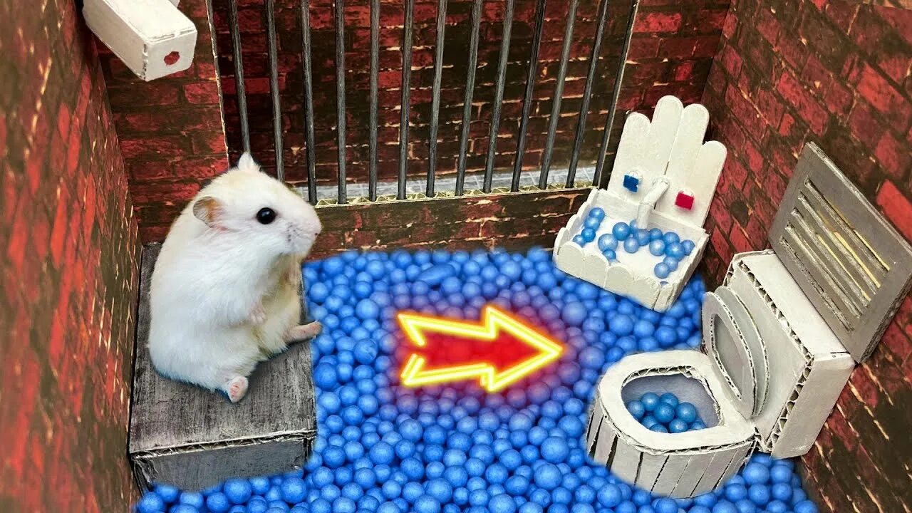 Hamster Escape. Sofi Hamster. ��Hamster Escapes the Awesome 5-Star Luxury Prison Maze with Bathtub🐹 for Pets in real Life. Hamster Maze with Traps 😱Minecraft World! Chasing Hamsters 😱[obstacle course]. Канал хомячка