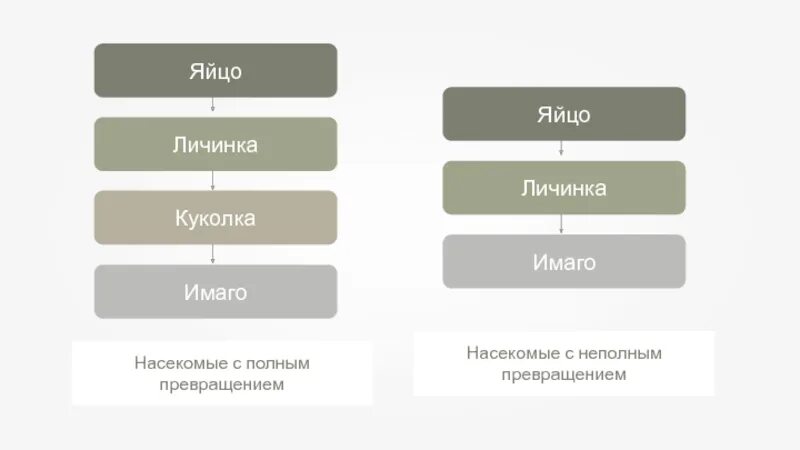 Имаго тест. Теория имаго формула. имаго в психологии. формула имаго в психологии. воблер имаго.