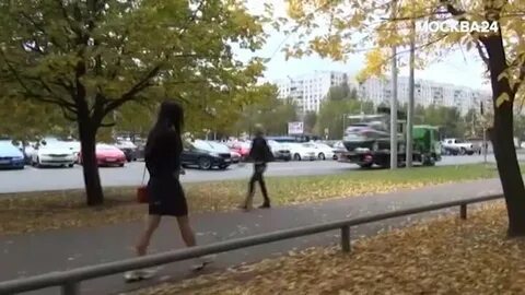 Москва 24 репортаж