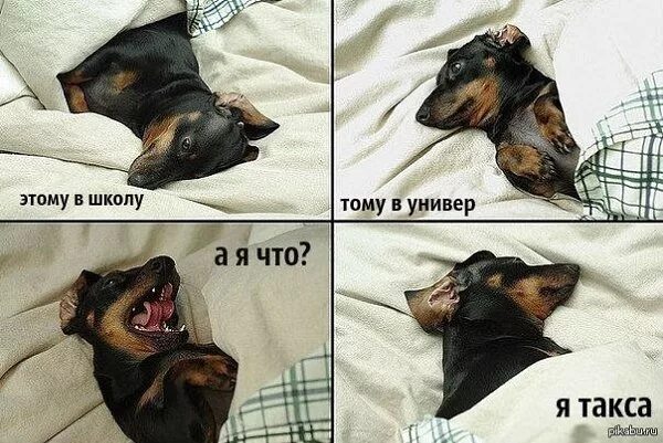 Что значит сопеть