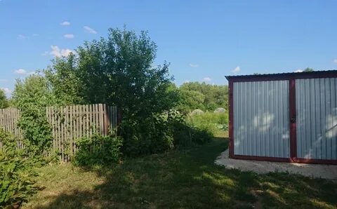 Парфеновка самарская область кинельский