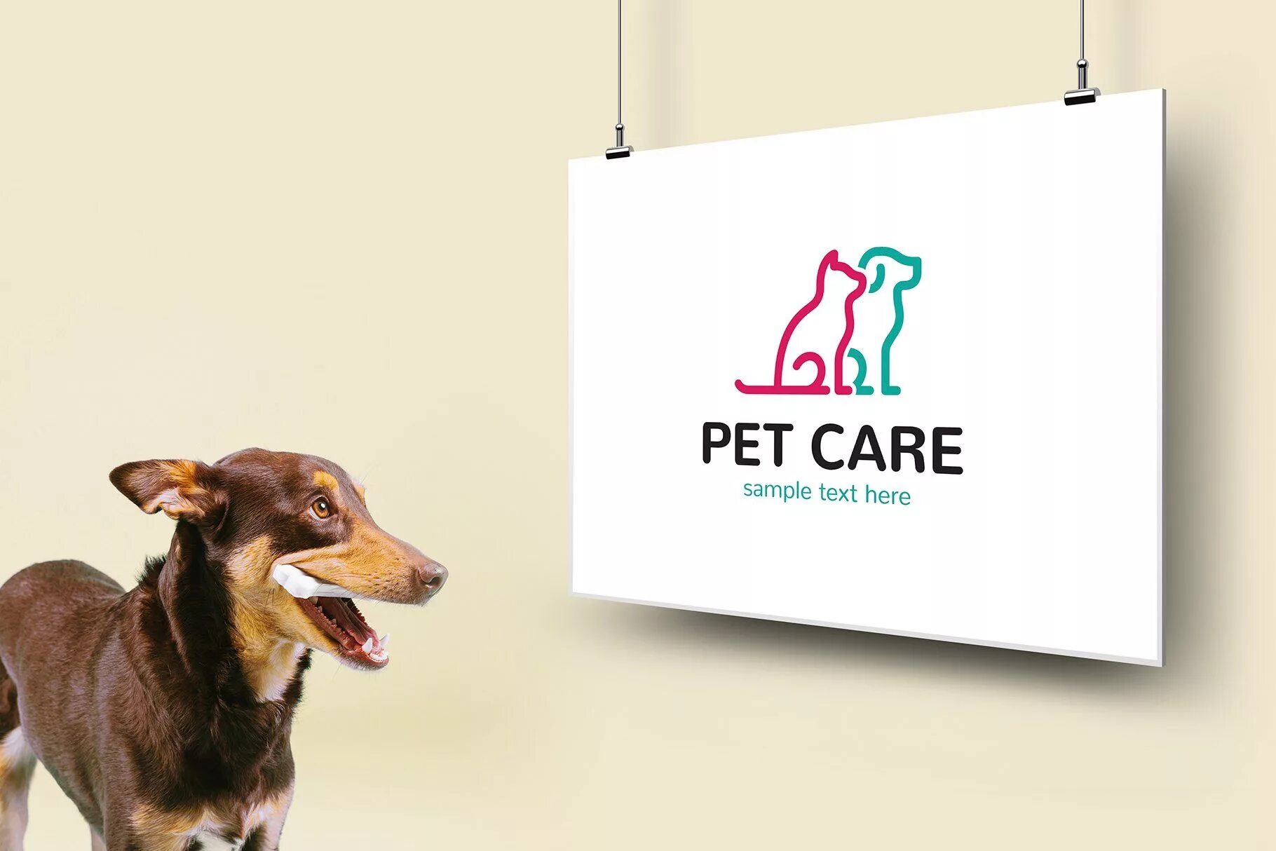 Pet simple. Pet logo. O2pets логотип. Pet Care Company. Pet friendly Label.