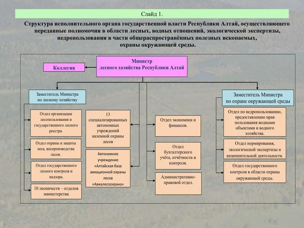 Высший исполнительный орган власти республик. Структура органов исполнительной власти. Структура государственной исполнительной власти. Структура гос органов. Структура органов государственной власти области.