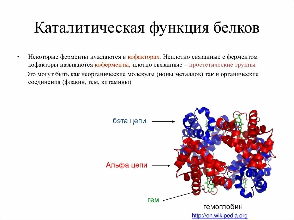 Название функций белка. Функции белков структурная каталитическая. Каталитическая ферментативная функция белка. Белки ферменты каталитическая функция. Ферментативно каталитическая функция белков.