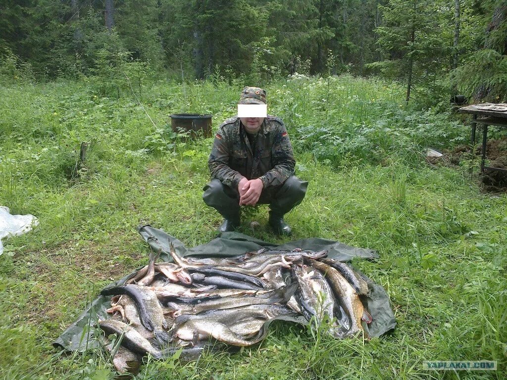 Наглуха