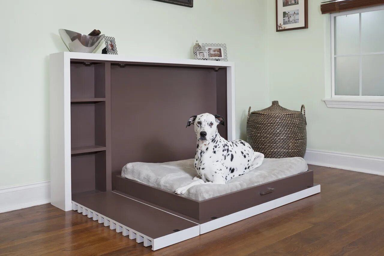 Bedroom dog. Кровать для собаки. Место для собаки. Место для собаки в мебели. Спальное место для собаки.