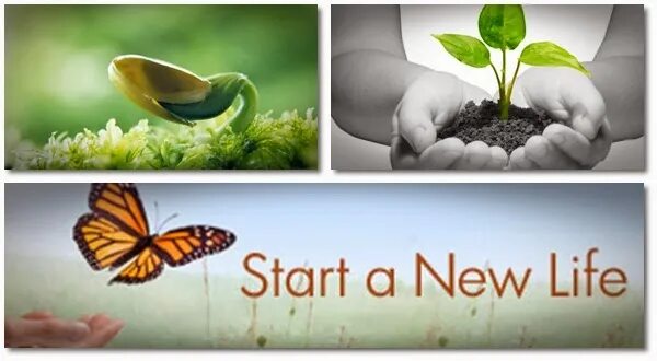 Start new life. New Life картинки. Start a New Life. Starting a New Life. New Life надпись.