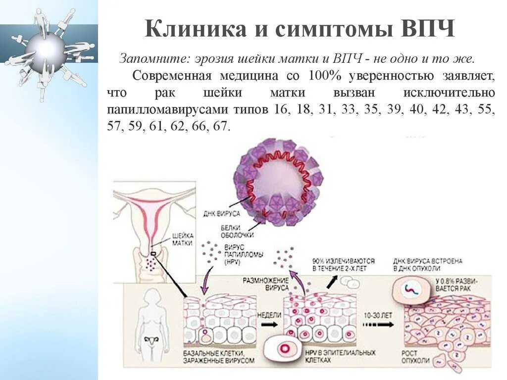 Клиника рака матки. Симптомы вируса папилломы ВПЧ. Папилломавирусная инфекция вызывается.