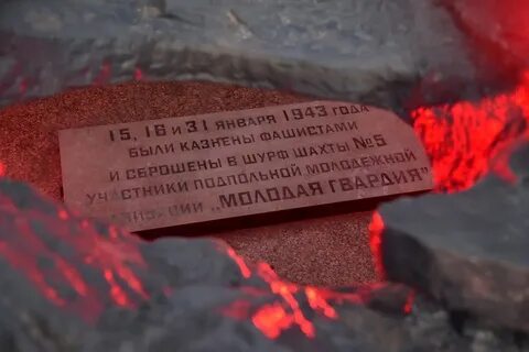 Молодая гвардия 5