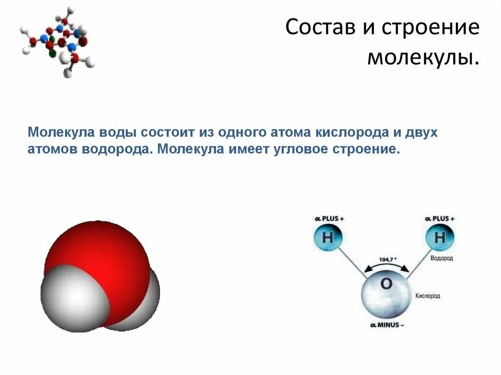 Из чего состоит молекула масла. Из чего состоит молекула масла