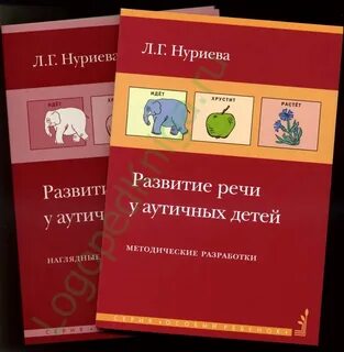 Общее развитие речи это