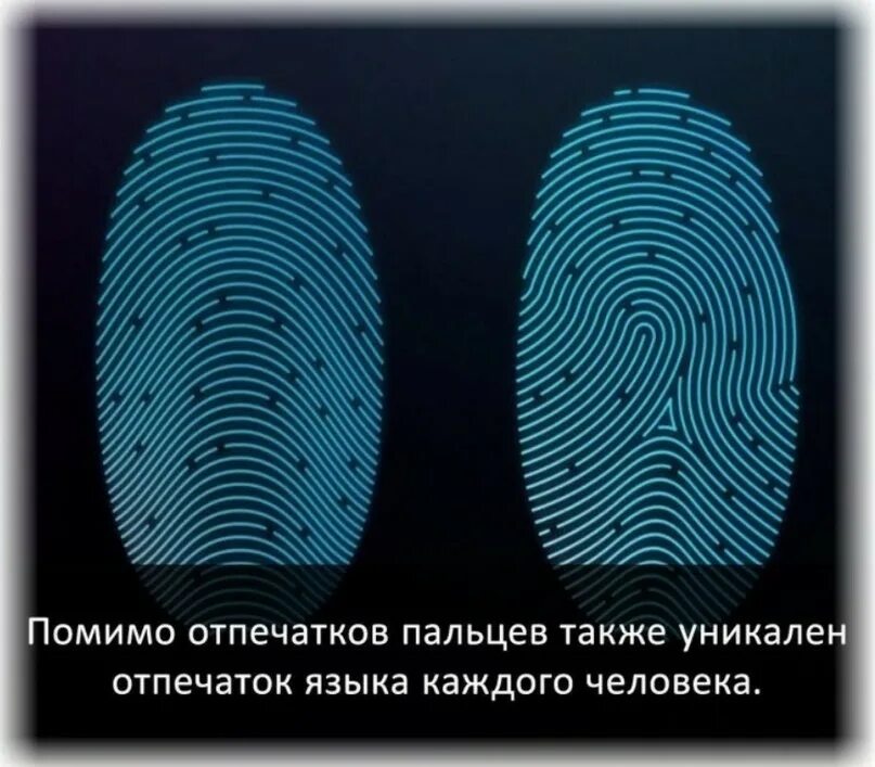 Одинаковые ли отпечатки у близнецов. Уникальный отпечатка пальца. отпечаток языка уникален. отпечатки пальцев уникальны. интересные факты о отпечатках пальцев.