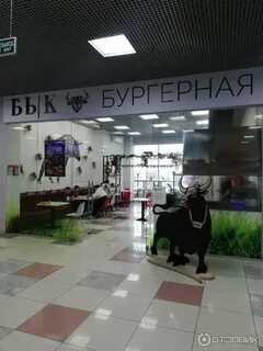 Бык орел