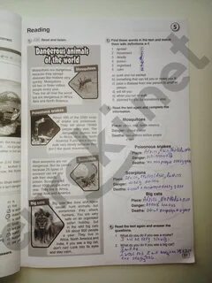 Английский язык 6 класс учебник стр 51