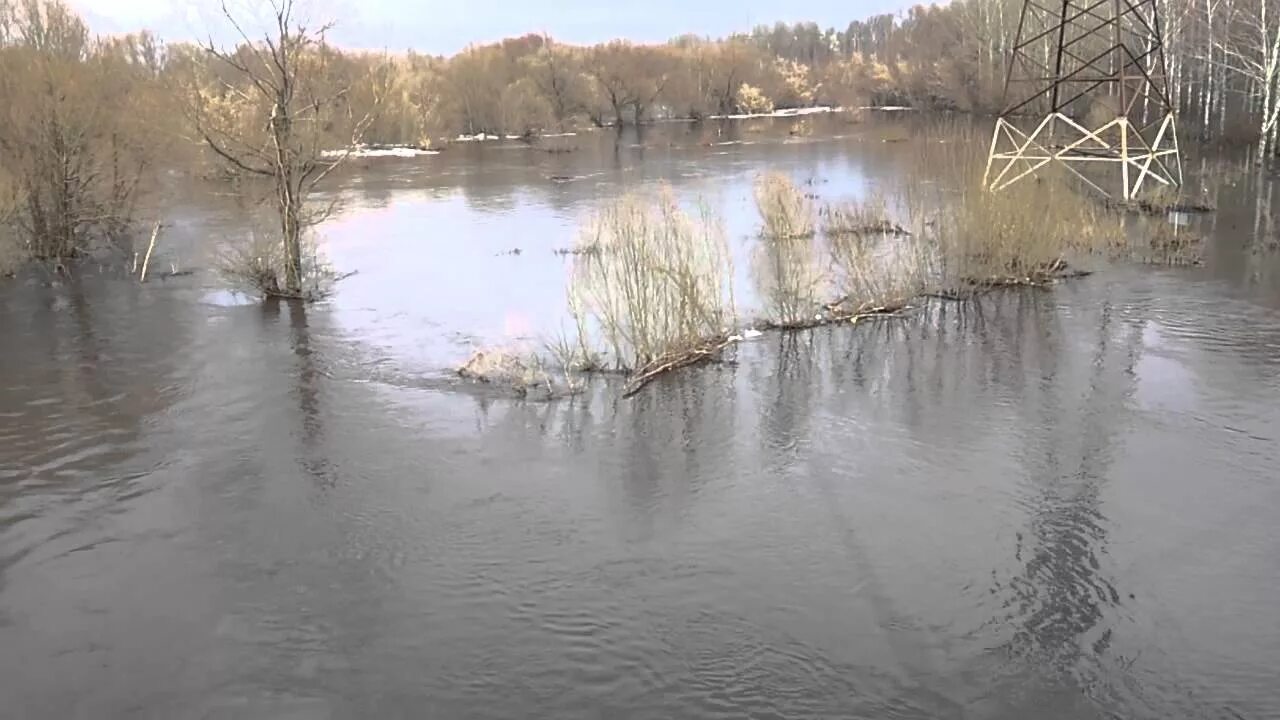 Потоп в иркутской области город тулун. Заповедники тверского края. Половодье харабали. Ахтуба половодье. Наводнение в иркутской области 2019 тулун.