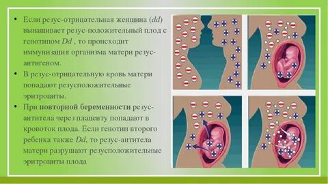 Резус конфликт таблица по группам