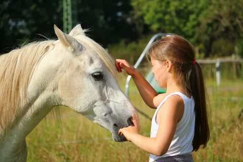 Like horses