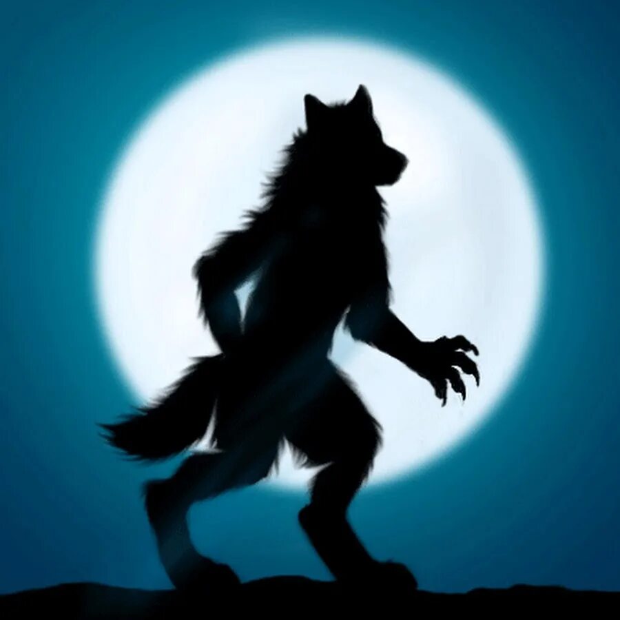 Где волк танцует. Волк оборотень. Оборотень воет. Оборотень воет на луну.