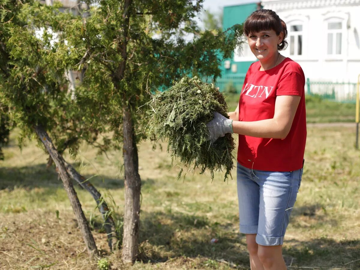 Погода в сар обл 10 дней. ОГКУСЗН Ульяновской области.