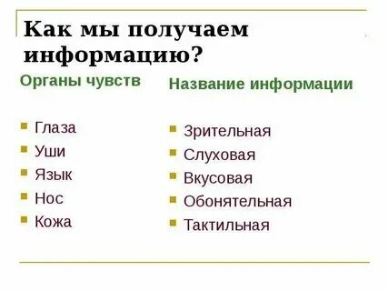 Как называется информация на сайте