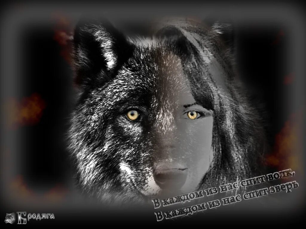Волчица не позабывшая ребячьих своих забав. Волк с надписью. Душа волка. Волчица с надписью. Одинокая волчица фото.
