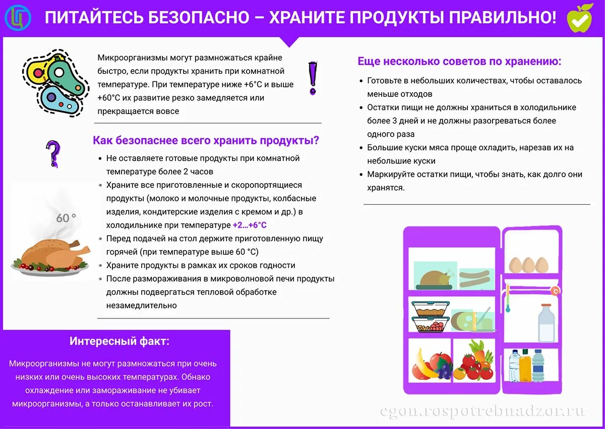 Безопасность хранения и использования бытовой химии. Дети и лекарства безопасность. Хранение и передача данных. Надежность хранения информации. Способы безопасной передачи данных.