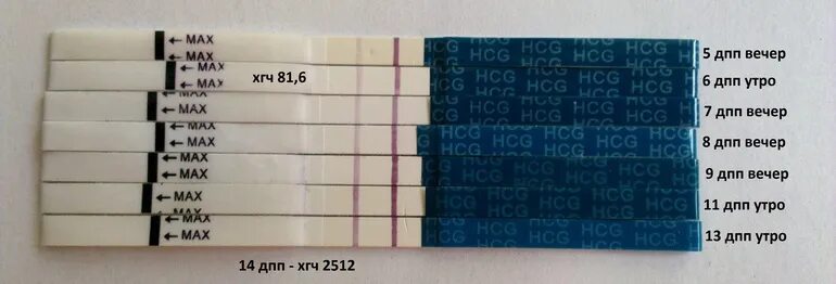 5дпп Эви. 7дпп тест на беременность. Тесты при ХГЧ. Тесты на беременность по ДПП.