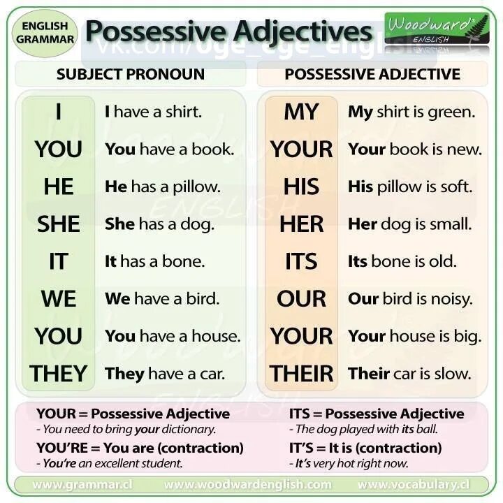 What s your subject. Possessive adjectives. Possessive adjectives в английском языке. Possessive adjectives в английском правило. Possessive adjectives and pronouns в английском.