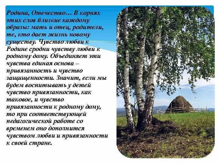 Определение слова отчизна. Родина Отечество отчизна. Родина Отечество отчизна разница. Предложения со словами Отечество. Родина-отчизна в предложении.