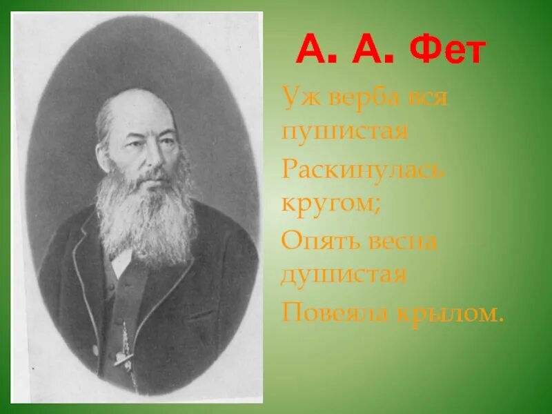 Стихотворение о весне фет. Фет уж Верба вся пушистая. Фет Верба. Фет уж Верба.