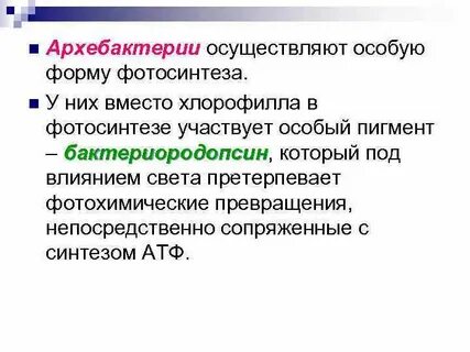 Какую систематическую группу образуют архебактерии