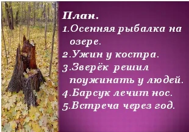 План рассказа барсучий нос паустовского 3 класс