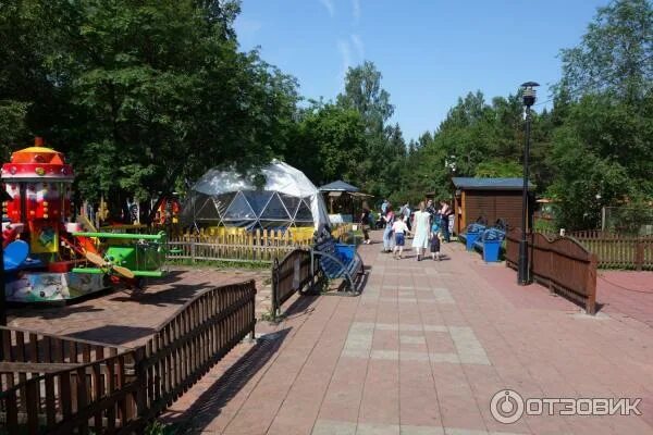 Антошка Самолет